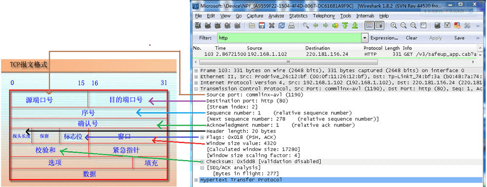 tcpdetail