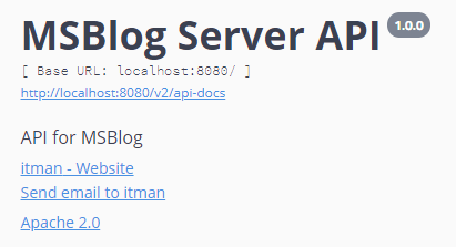 swagger-instance-info