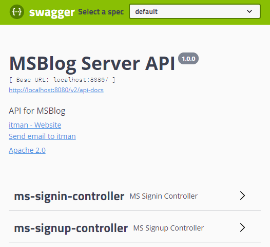 swagger-instance-info2