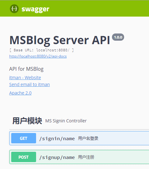 swagger-instance-info3